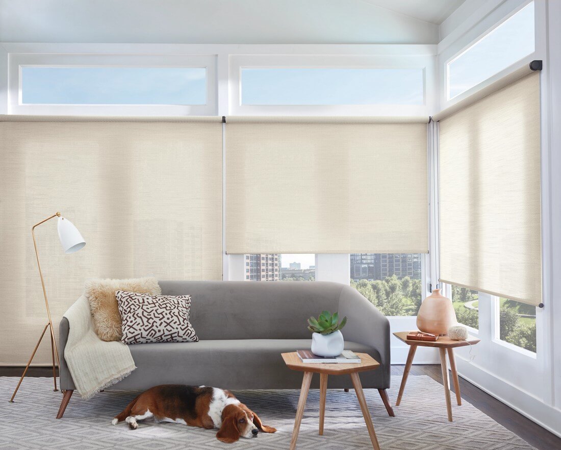 Best pet friendly window coverings