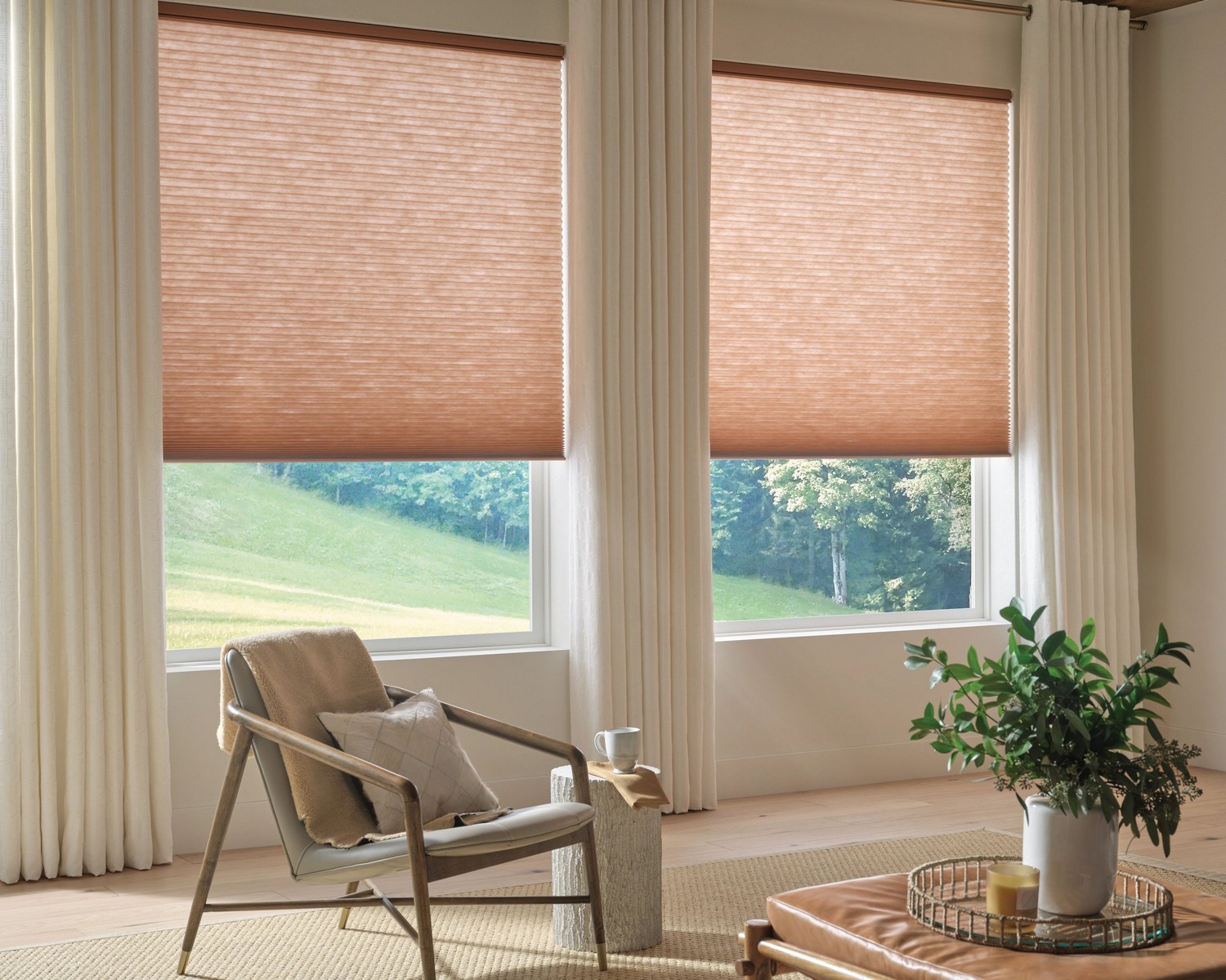 Transform your windows choosing blinds and shades