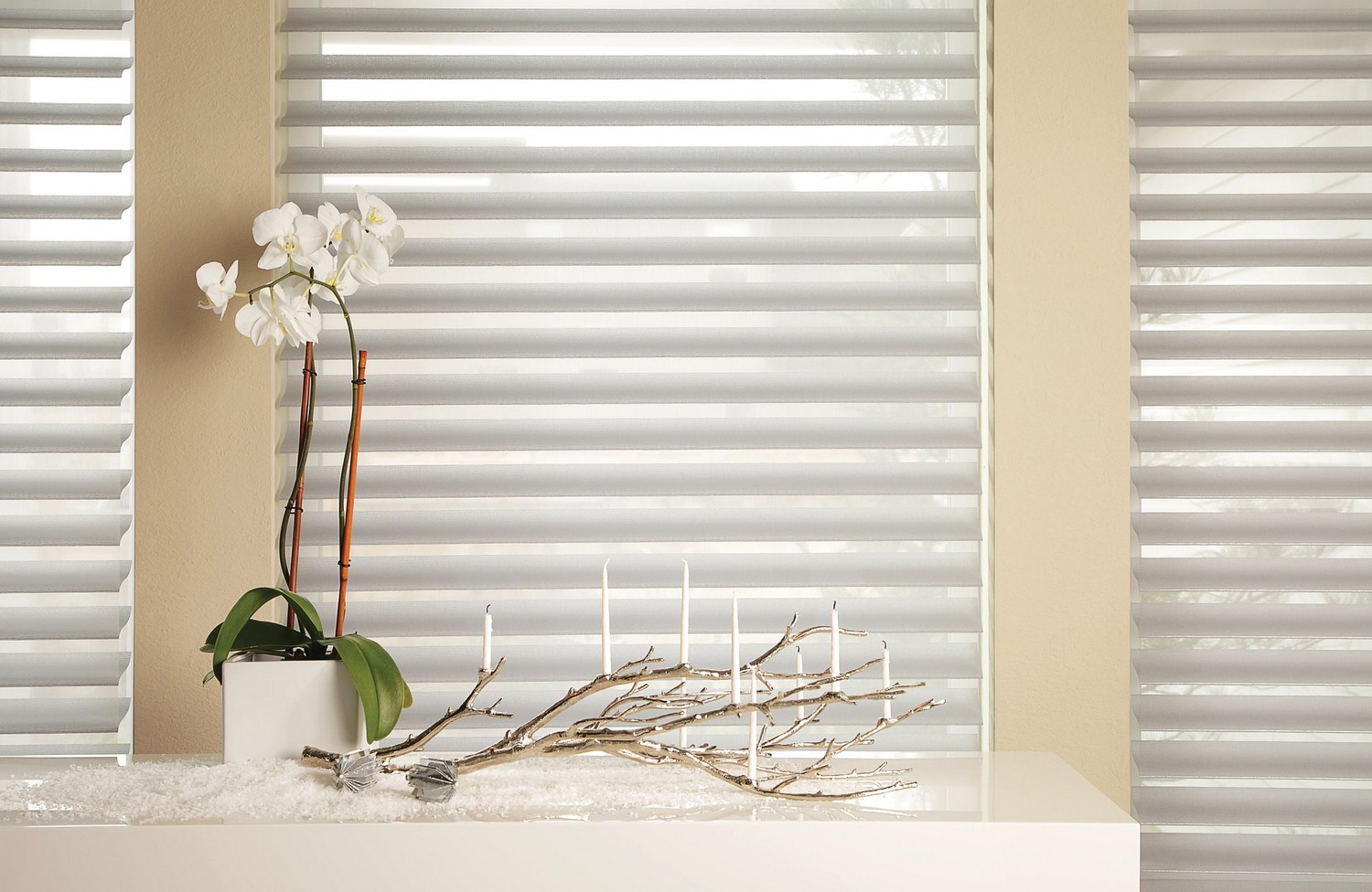 Transform your windows choosing blinds and shades